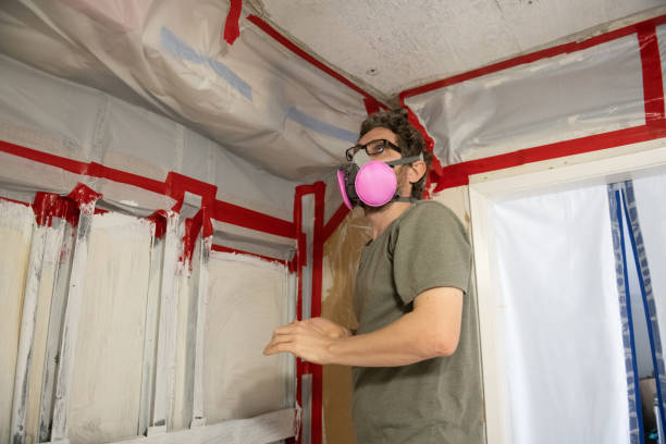 Best Attic Mold Removal  in Prophetstown, IL