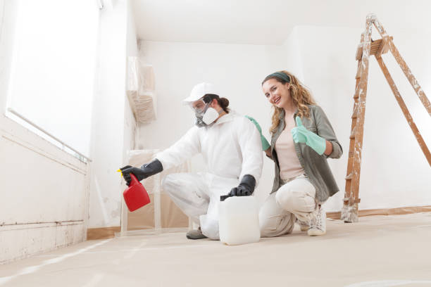 Best Environmental Consulting for Mold Prevention  in Prophetstown, IL